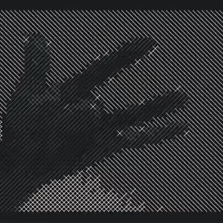 243