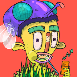 658