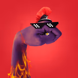 558