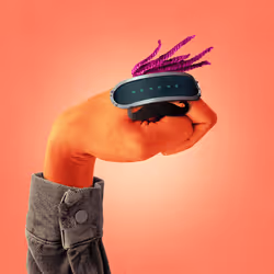 66