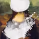 202