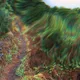 Psychedelic Jungle POV