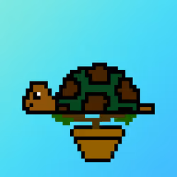 Qwerty Turtles #684