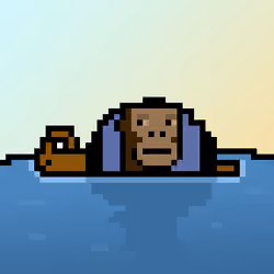 Qwerty Turtles #3748