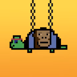 Qwerty Turtles #1764