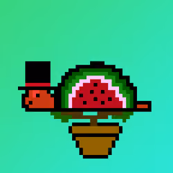 Qwerty Turtles #1378