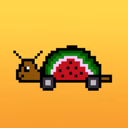 Qwerty Turtles #1509