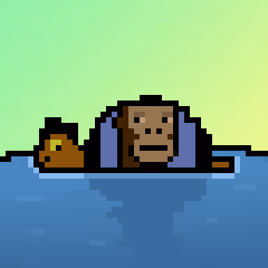 Qwertyturtles