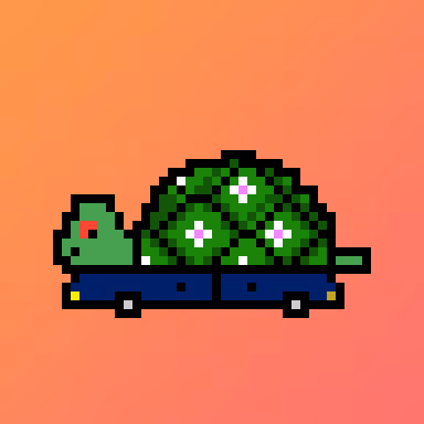 Qwertyturtles