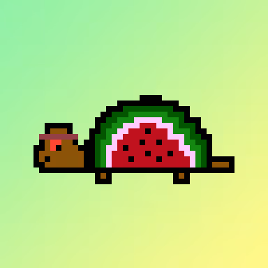 Qwertyturtles