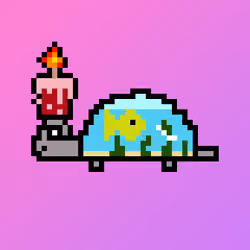 Qwerty Turtles #3544