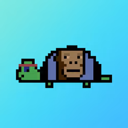 Qwerty Turtles #1739