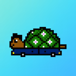 Qwerty Turtles #3833