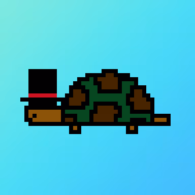 Qwertyturtles