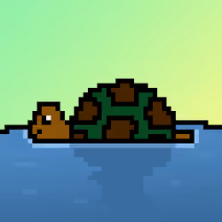 Qwerty Turtles #733