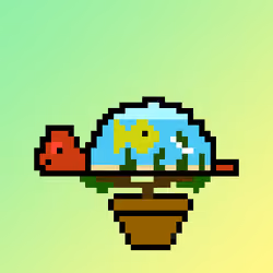 Qwerty Turtles #2250