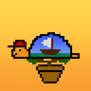 Qwertyturtles