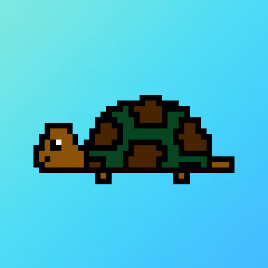 Qwertyturtles