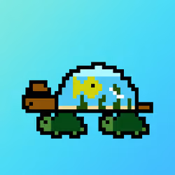 Qwerty Turtles #1184