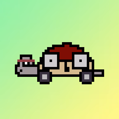 Qwertyturtles