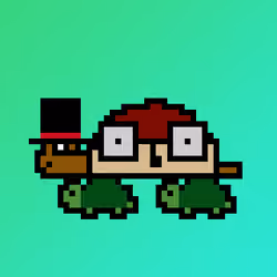 Qwerty Turtles #3857