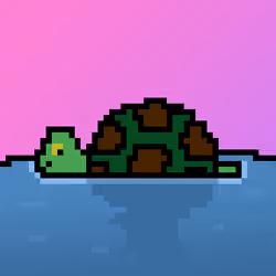Qwerty Turtles #3820