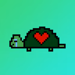 Qwerty Turtles #1505