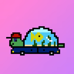 Qwerty Turtles #3381