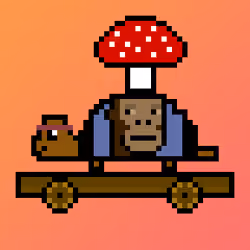Qwerty Turtles #3137