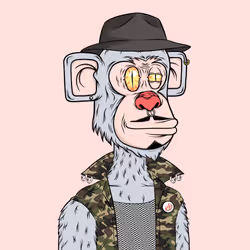 66