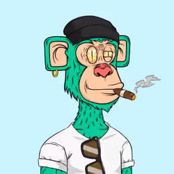 HIGHMONKEY #702
