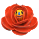 38
