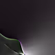 1086