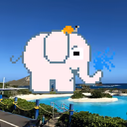 828