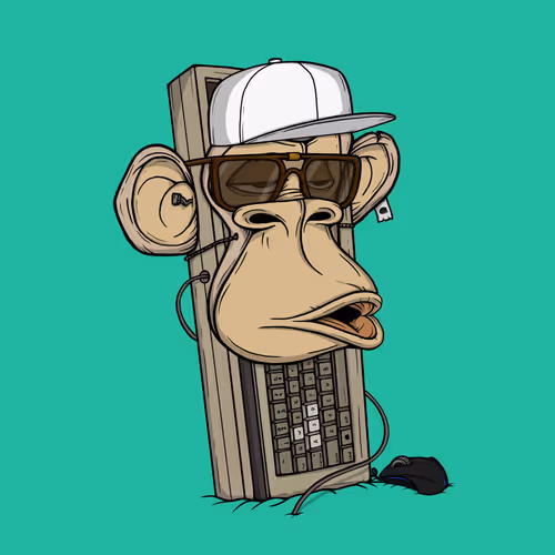 Boardapecollective
