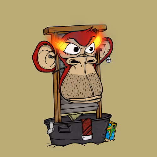Boardapecollective