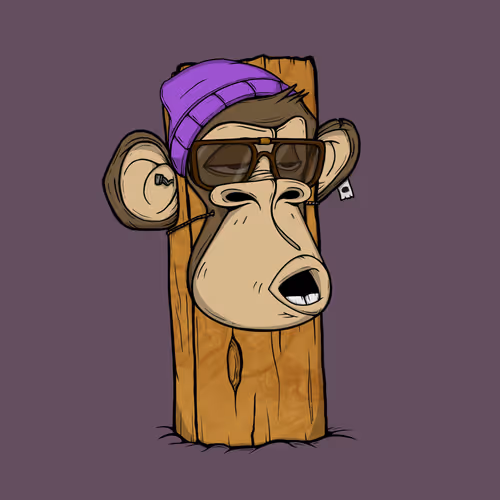 Boardapecollective