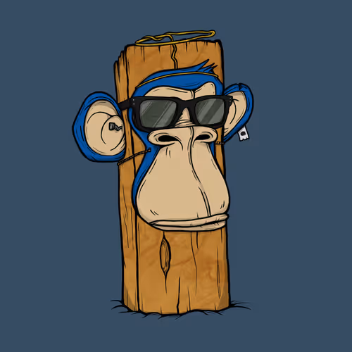 Boardapecollective