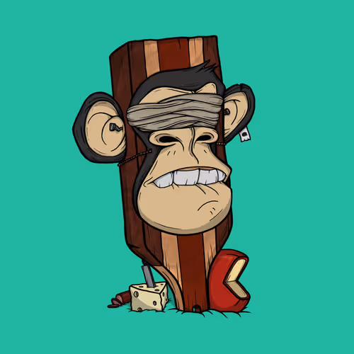 Boardapecollective