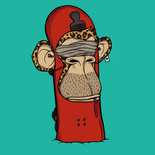 Boardapecollective
