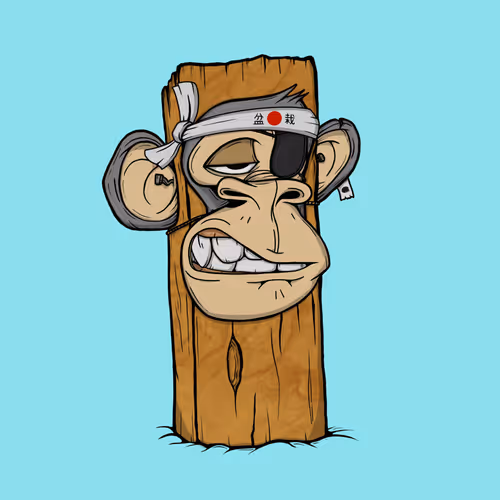 Boardapecollective