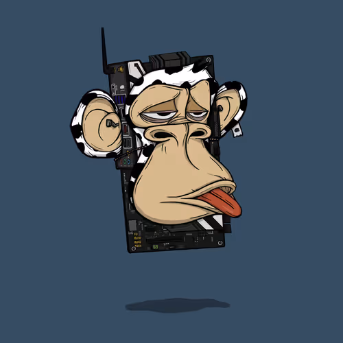 Boardapecollective