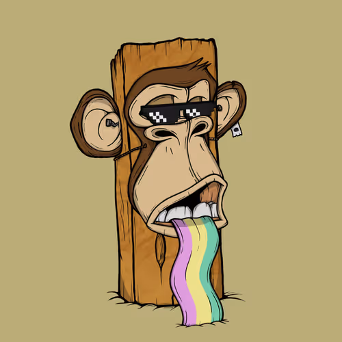 Boardapecollective
