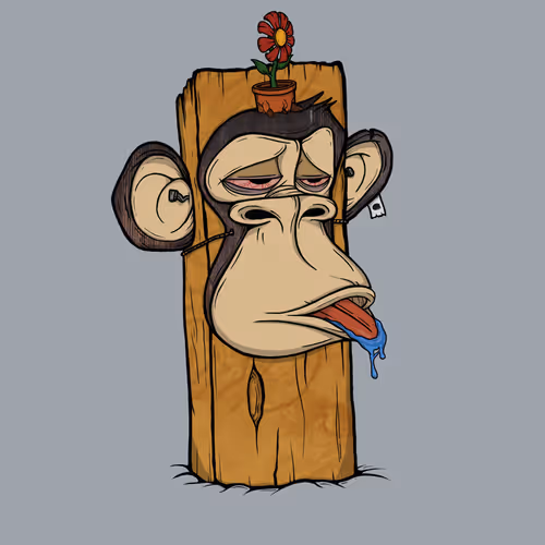 Boardapecollective