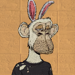Rug #4884