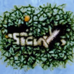 stickynetworks.com (1999-2000) reimagined by Cosmographia, with Simon Denny and Guile Twardowski