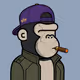 Ape #9160
