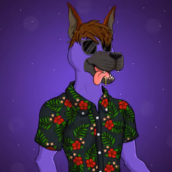 Party Dog #2019