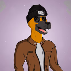 Party Dog #491