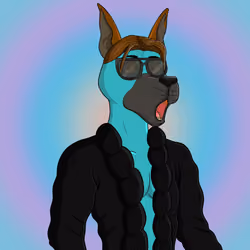 Party Dog #1454